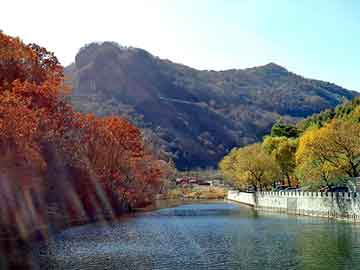 新澳天天开奖资料大全旅游团，语音降噪芯片